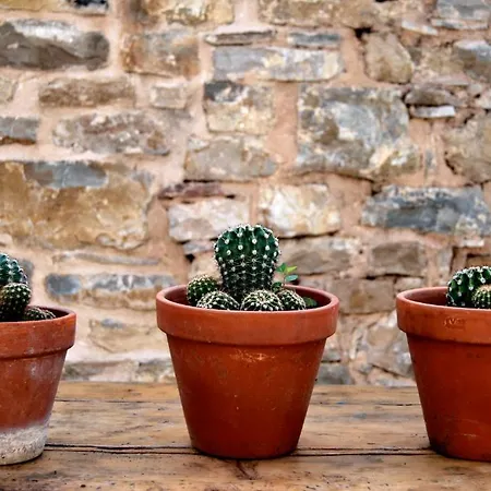 Villa Il Colombarone Rustigazzo