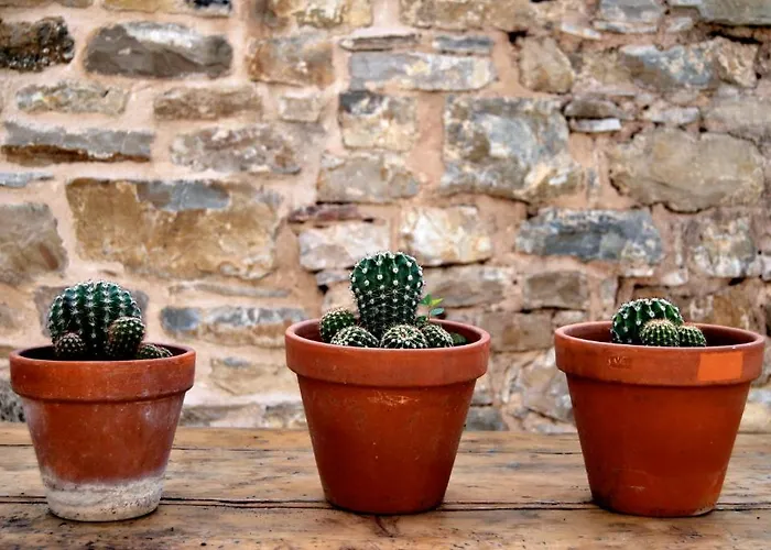 Вилла Il Colombarone Rustigazzo